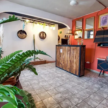 Hostal Casa Los Abuelos-3